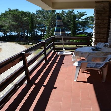 Apartments Kurta Privlaka  Dış mekan fotoğraf