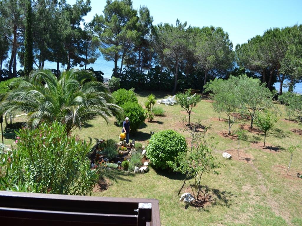 Apartments Kurta Privlaka  Dış mekan fotoğraf